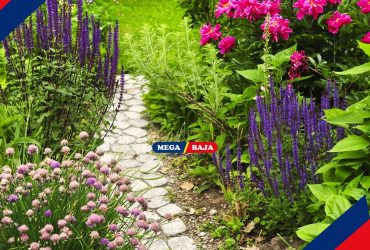 Ide Desain Jalan Setapak di Halaman Rumah dan Tips Penataannya