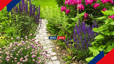 Ide Desain Jalan Setapak di Halaman Rumah dan Tips Penataannya