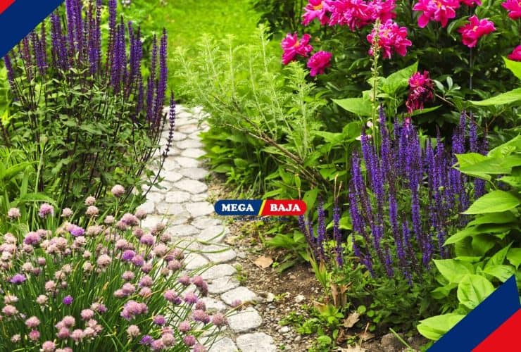 Ide Desain Jalan Setapak di Halaman Rumah dan Tips Penataannya
