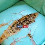 Sofa Rusak_ Lebih Baik Diperbaiki atau Beli Baru_ Simak Pertimbangannya di Sini!