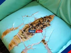 Sofa Rusak_ Lebih Baik Diperbaiki atau Beli Baru_ Simak Pertimbangannya di Sini!