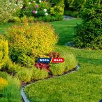 Tanaman Ini Ternyata Bisa Menarik Perhatian Ular. Masih Mau Menanamnya di Rumah