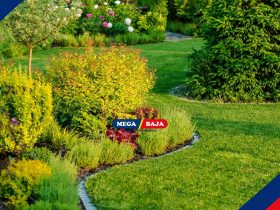 Tanaman Ini Ternyata Bisa Menarik Perhatian Ular. Masih Mau Menanamnya di Rumah