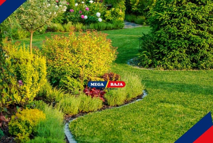 Tanaman Ini Ternyata Bisa Menarik Perhatian Ular. Masih Mau Menanamnya di Rumah