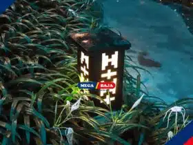 Inspirasi Lampu Taman DIY untuk Mempercantik Halaman Rumah