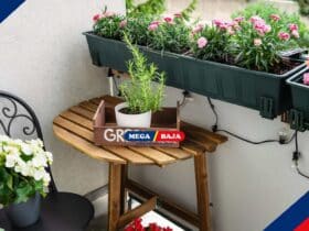 Tips Membuat Taman Mini di Teras Rumah untuk Pemula