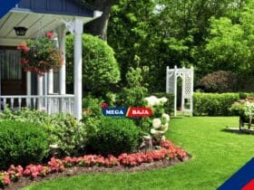 Manfaat Memiliki Halaman Rumah_ Lebih dari Sekadar Estetika