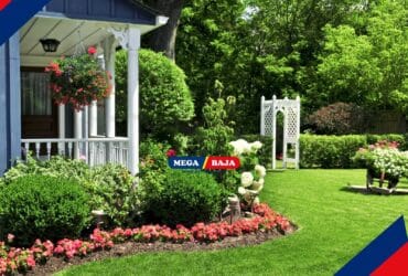 Manfaat Memiliki Halaman Rumah_ Lebih dari Sekadar Estetika