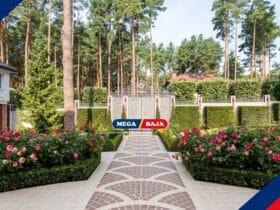 Membuat Halaman Depan Rumah Jadi Instagramable tanpa Renovasi Mahal