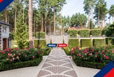 Membuat Halaman Depan Rumah Jadi Instagramable tanpa Renovasi Mahal