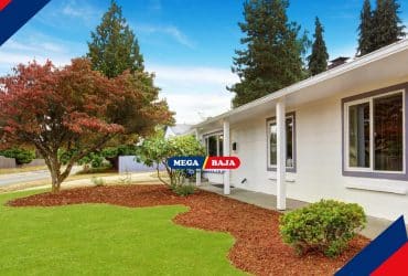 Rekomendasi Pohon Peneduh Rumah yang Akarnya Tidak Merusak Bangunan