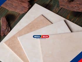 Ubin Besar vs Kecil_ Ini Perbandingannya!