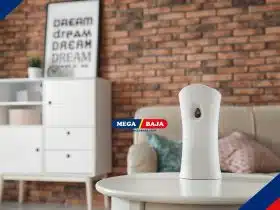 Dari Mint sampai Woody! Ini Aroma Pengharum Ruangan Paling Disukai