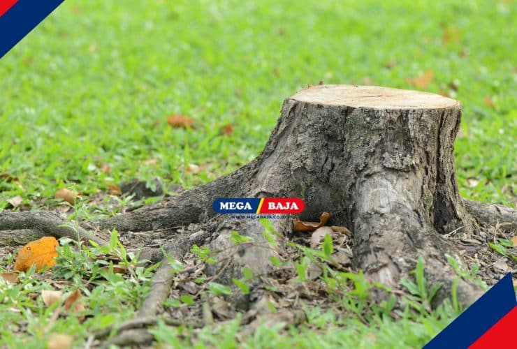 Dari Sisa Tunggul Jadi Dekorasi Baru_ Ide Memanfaatkan Tunggul Pohon di Halaman Rumah