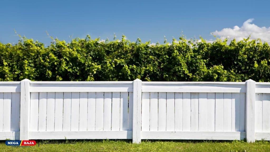Pagar Kayu Putih