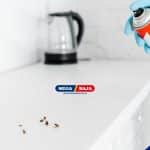 Panduan Membasmi Kecoa di Kamar Mandi dengan Efektif