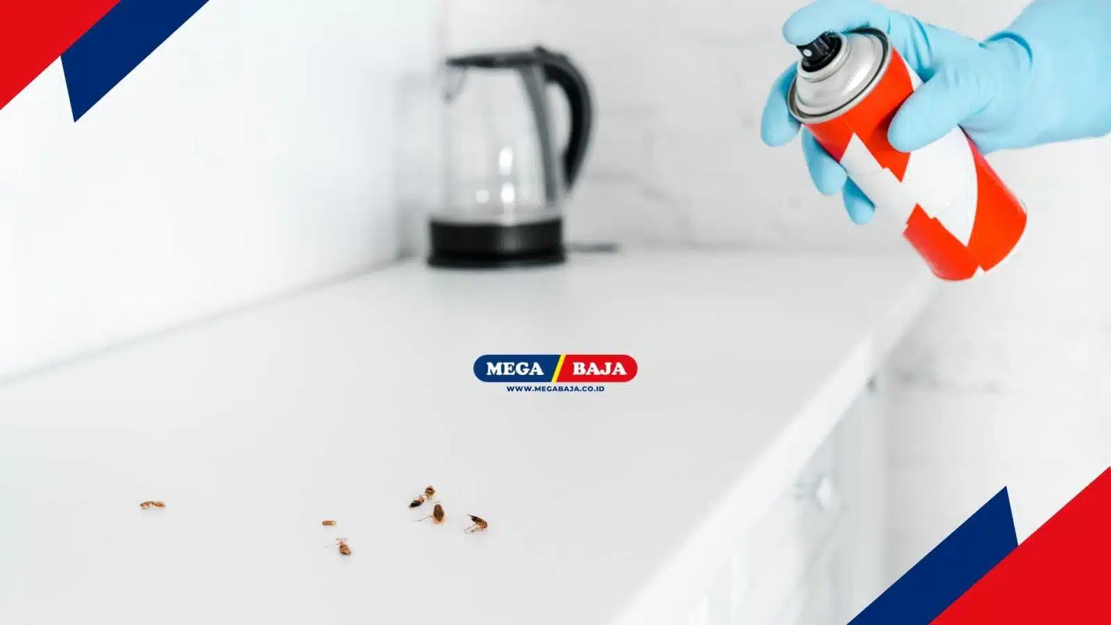 Panduan Membasmi Kecoa di Kamar Mandi dengan Efektif