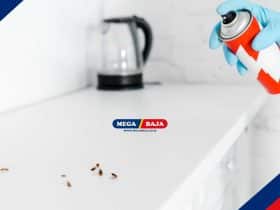Panduan Membasmi Kecoa di Kamar Mandi dengan Efektif