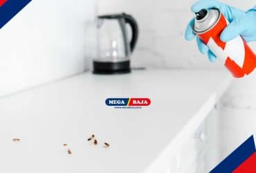 Panduan Membasmi Kecoa di Kamar Mandi dengan Efektif