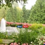 Tips Mendesain Eksterior dengan Elemen Air_ Air Terjun Mini dan Kolam