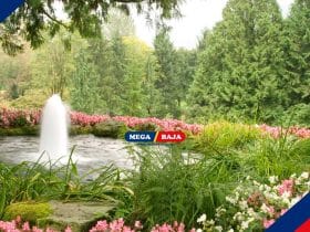 Tips Mendesain Eksterior dengan Elemen Air_ Air Terjun Mini dan Kolam