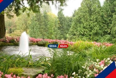 Tips Mendesain Eksterior dengan Elemen Air_ Air Terjun Mini dan Kolam