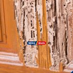 Cara Mengaplikasikan Cat Kusen Kayu agar Tahan Rayap dan Jamur