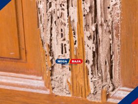 Cara Mengaplikasikan Cat Kusen Kayu agar Tahan Rayap dan Jamur