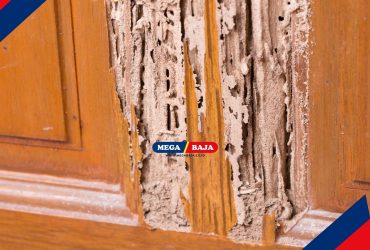 Cara Mengaplikasikan Cat Kusen Kayu agar Tahan Rayap dan Jamur