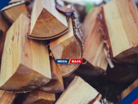 Mengenal Jenis-Jenis Cacat pada Kayu