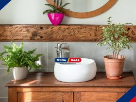 Mengenal Tanaman Pembersih Udara di Kamar Mandi_ Estetik dan Fungsional