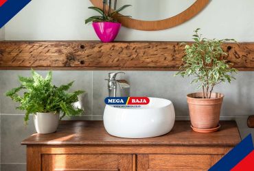 Mengenal Tanaman Pembersih Udara di Kamar Mandi_ Estetik dan Fungsional