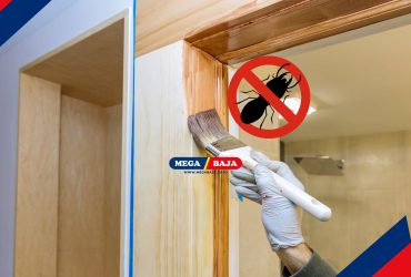 Pilihan Cat Anti Rayap Terbaik untuk Melindungi Rumahmu