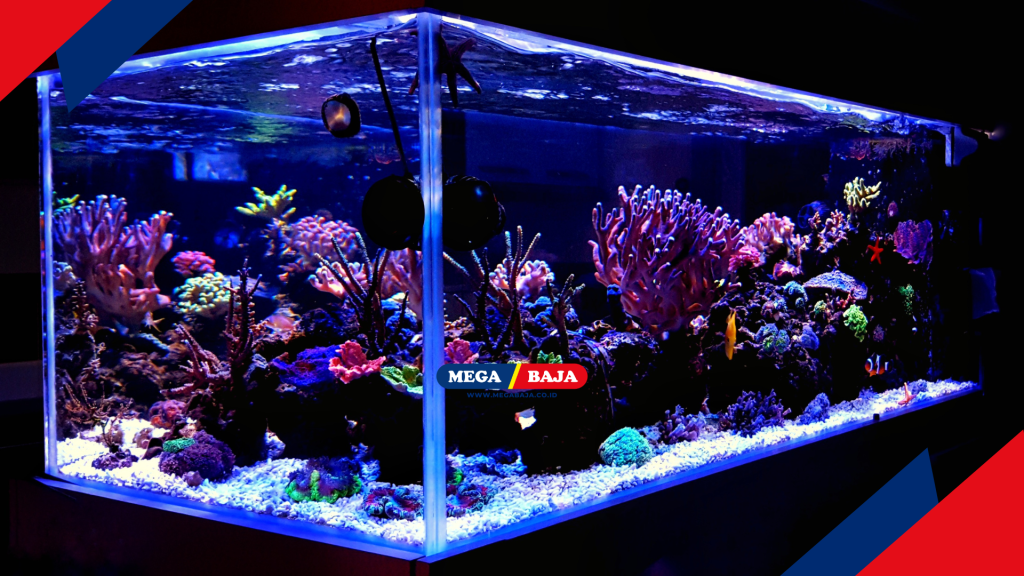 Solusi Praktis Bagi Penghobi Akuarium Skala Besar
