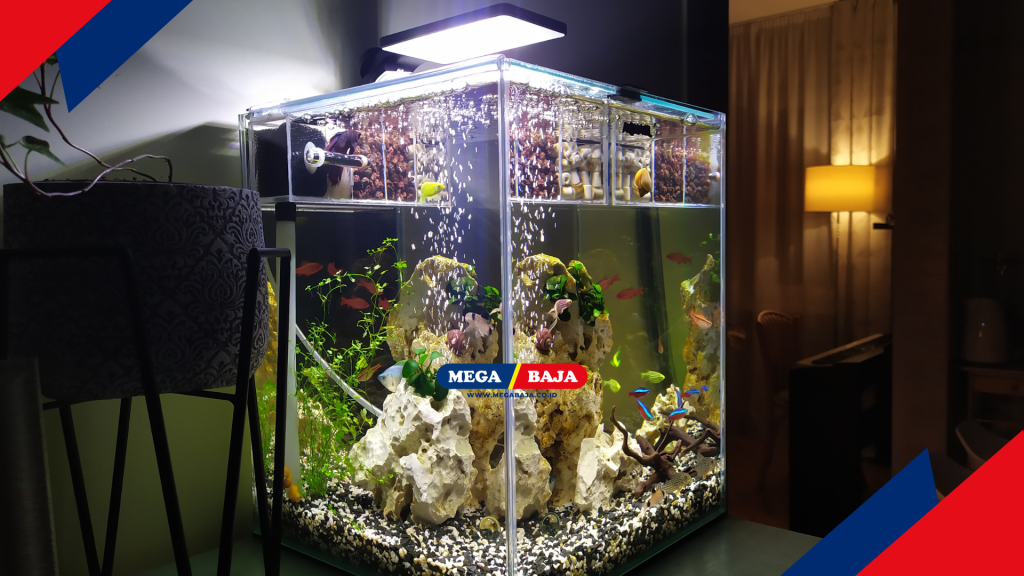 ilustrasi akuarium