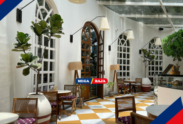 Pesona Estetika Rotan Dan Kekuatan Konstruksi Baja Modern