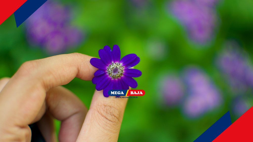 MENGEKSPRESIKAN KREATIVITAS PADA DETAIL KECIL TAMAN