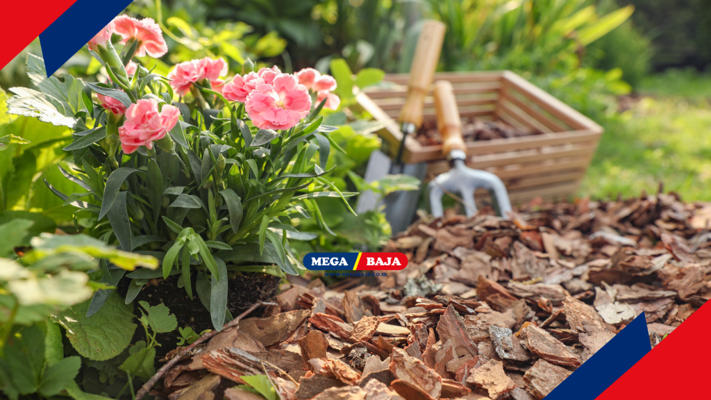 MENJAGA KERAPIAN TAMAN SEBAGAI BENTUK PROFESIONALISME