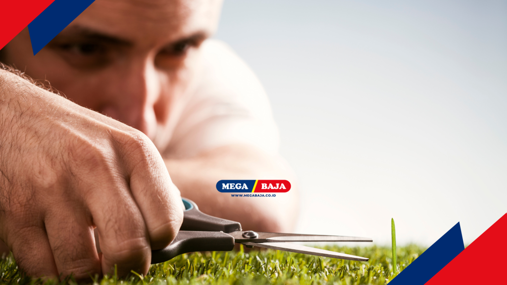 MENYIMPULKAN ESENSI TAMAN ROMANTIS DI LAHAN SEMPIT