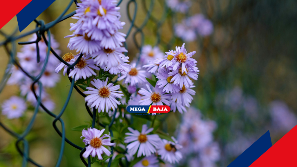 Struktur pagar yang baik harus mampu meredam getaran dan tidak mudah roboh