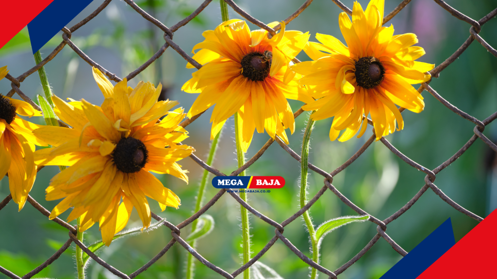 Pagar wiremesh menawarkan kejujuran material yang sangat cocok dipadukan dengan gaya cinta alam