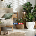 furniture kurva