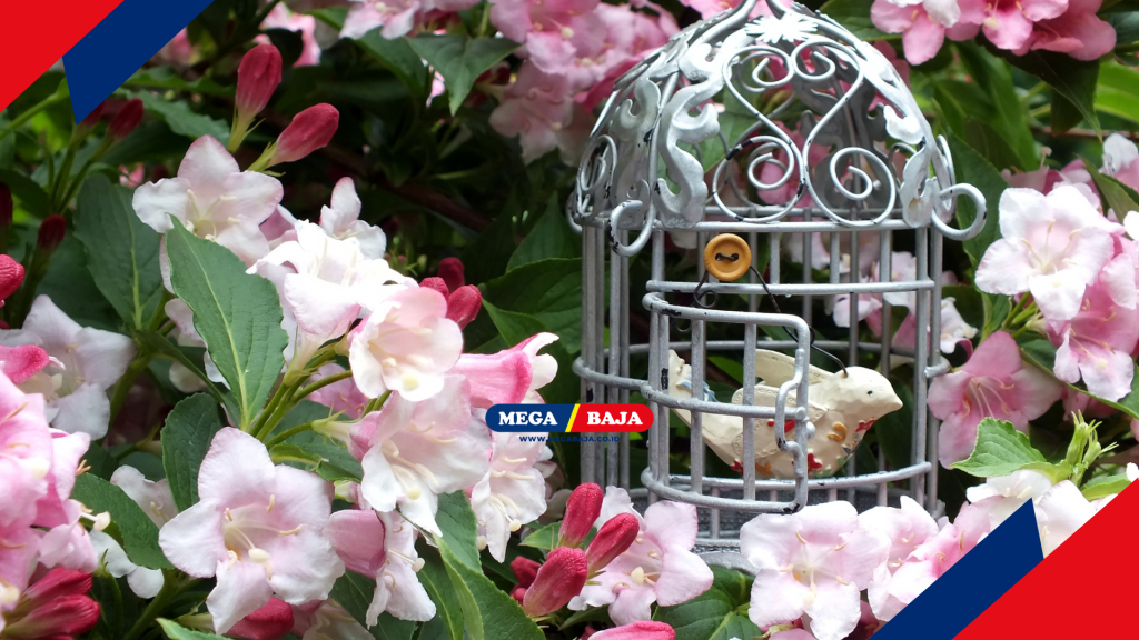 ESTETIKA VISUAL TAMAN YANG CANTIK DAN MENARIK