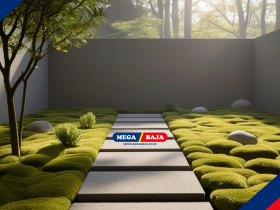 Seni Menanam Lumut Hijau Pada Arsitektur Taman Jepang Minimalis