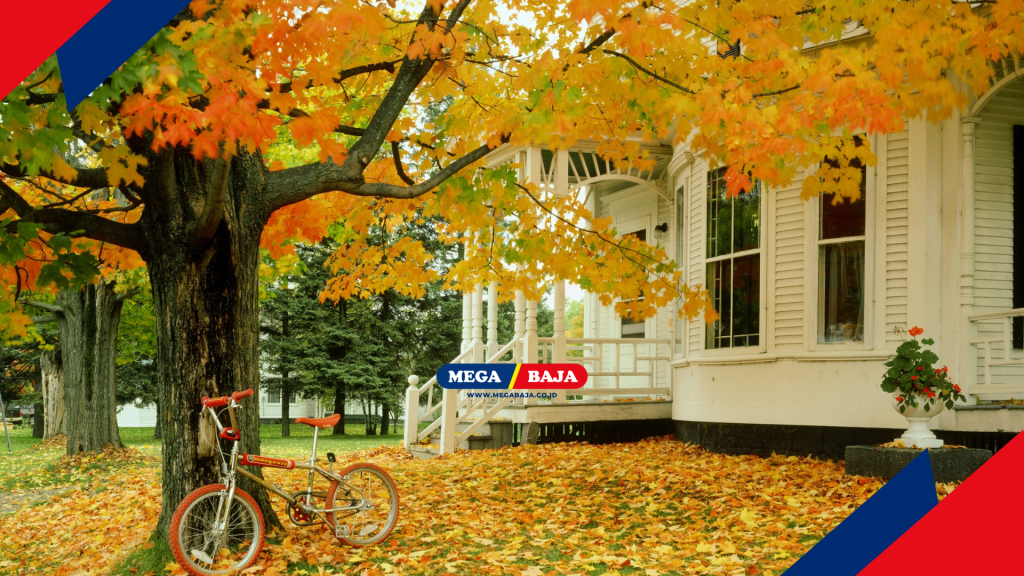 Pentingnya Membersihkan Daun Kering Secara Rutin