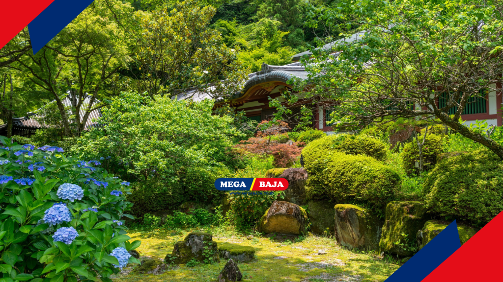 Rahasia Kelembapan Ideal Taman Gaya Jepang
