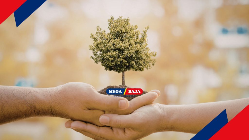 Harmoni Keindahan Baja Dan Keseimbangan Lingkungan