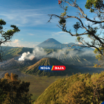 KEINDAHAN BROMO : KEKUATAN BAJA DI PUNCAK JAWA PADA PENGINAPAN DENGAN DEKORASI ANGGREK