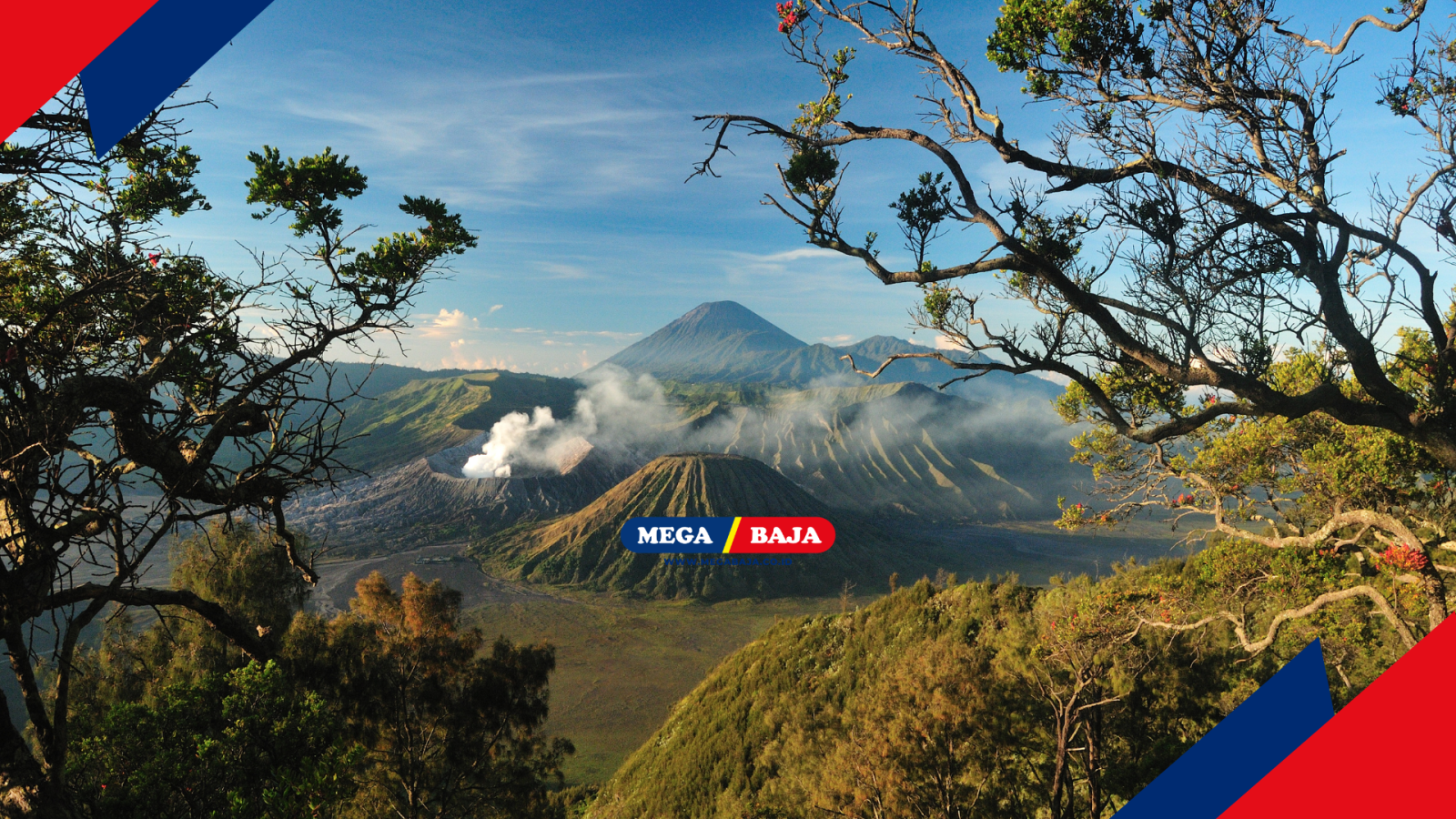 KEINDAHAN BROMO : KEKUATAN BAJA DI PUNCAK JAWA PADA PENGINAPAN DENGAN DEKORASI ANGGREK