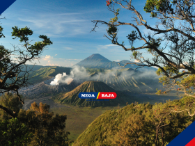 KEINDAHAN BROMO : KEKUATAN BAJA DI PUNCAK JAWA PADA PENGINAPAN DENGAN DEKORASI ANGGREK